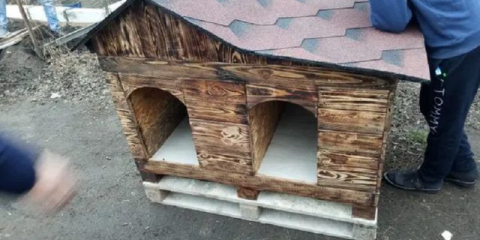 Jak udělat booth pro psy z palet udělejte to sami